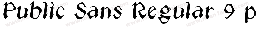 Public Sans Regular 9 pt字体转换